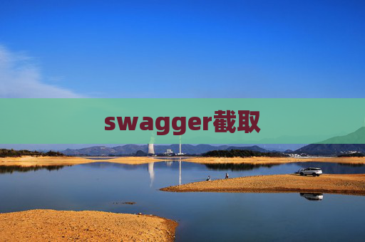 swagger截取